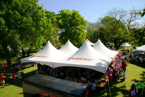 Rental store for 40 foot x 40 foot marquee tent in STOREAREA2