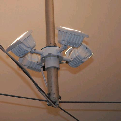 Rental store for halogen tent light in STOREAREA2